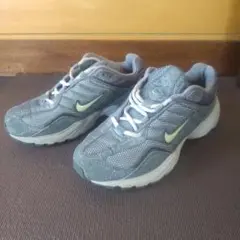 Nike グレー 　ランニング シューズ