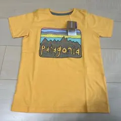 Item thumbnail for item 14d5c8a9-49bf-4a26-b8f0-42d7597499d6