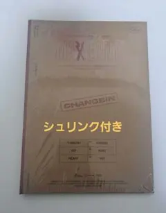 straykids maxident case ver チャンビン
