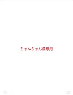 9090 キングロゴ バギーデニムパンツ ちゃんちゃん様専用