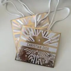 Christian Dior ショップ袋 2枚セットのサムネイル