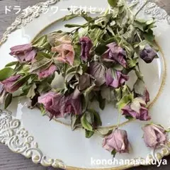 クリスマスローズのドライフラワー　花材セット③ 10本