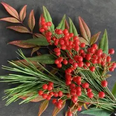 【南天枝葉・松の葉付】⭕️ナンテン⭕️の実一房⭕️縁起物セット