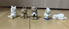 コンコンブル concombre デコレ くま　熊