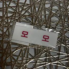 TWICE モモ 名札バッジ