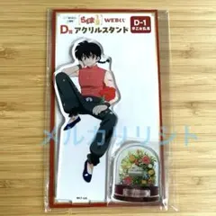 【らんま1/2】早乙女乱馬 WEBくじ アクリルスタンド D賞