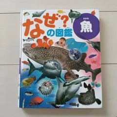 大自然のふしぎ　魚・貝の生態図鑑　学研 学研／大自然のふしぎ ／魚・貝の生態図鑑／大型本 - メルカリ