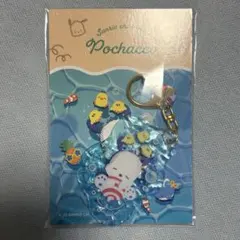 サンリオ食玩　ぷかぷかアクリルキーホルダー　ポチャッコ