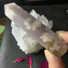 桜瑪瑙 月