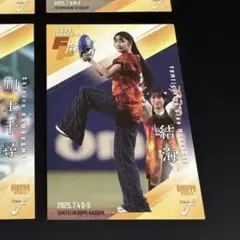 2025 BBM FUSION 始球式カード　4枚セット