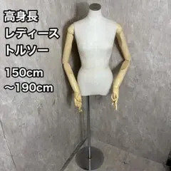 【男女セット】Rebody トルソー 本体のみ #62517 男女セット】Rebody トルソー 本体のみ #62517 - メルカリ