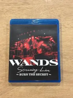 2025年最新】WANDS blu-rayの人気アイテム - メルカリ