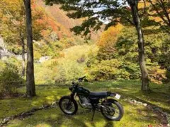 値下げ更新！九州・福岡！グラストラッカー ビッグボーイ - メルカリ