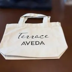 AVEDA Terrace エコバッグ トートバッグ キャンバスのサムネイル