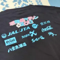 石垣島マラソン 2013 Tシャツのサムネイル