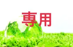 2025年最新】早瀬ノエル tシャツの人気アイテム - メルカリ