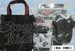straykids スキズ dominATE アプグレ特典【新品・未開封】