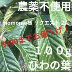 momomo様 リクエスト 2点 まとめ商品