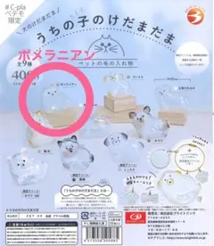 うちの子のけだまだま 犬のけだまだま ポメラニアン ♯C-plaペテモ限定