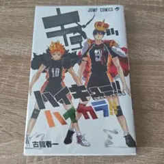 ハイキュー　1〜42巻＋ハイキューハイカラ付 ハイキュー 1〜42巻＋ハイキューハイカラ付 ハイキュー 1〜42巻＋