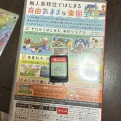 あつまれ どうぶつの森 Nintendo Switch