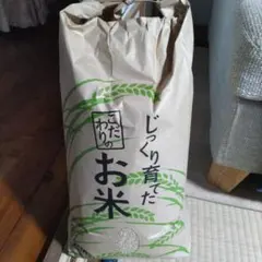②【農薬不使用・色選処理済】R8年産 高知産コシヒカリ【精米10kg