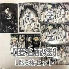 Dr.STONE ファミマプリント チェス L版 6枚セット