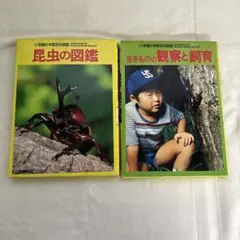 S　昆虫の図鑑 Wide color　生きものの観察と飼育　2冊