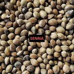 Item thumbnail for item 180c8898-878d-423e-a964-961f3dba33a2