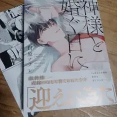 神様と婚ぐ日に