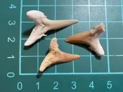 meri様 リクエスト 8点 まとめ商品