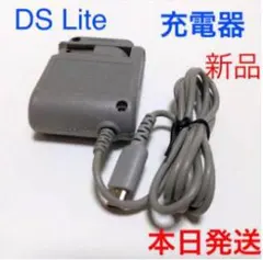 【新品送料無料】dsライト dslite 充電器ACアダプターff