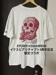 ステューシー×チャンピオン STUSSY stussy champion
