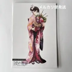 古書店街の橋姫 副読本 天泣 特典 しおり付 - メルカリ