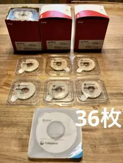 Item thumbnail for item d850721c-34f4-466f-8ecd-cdd728e242ed