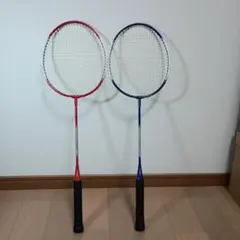 ゴーセン バドミントン