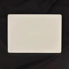 Apple Magic Trackpad 本体 A1535 ②