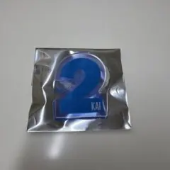 超特急 カイ ペンライトアクセサリー
