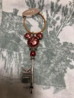 東京ディズニーリゾート 25周年 キーホルダー