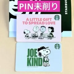 スターバックス カード PEANUTS SNOOPY 2枚　セット