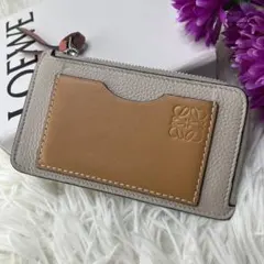 極美品✨ LOEWE ロエベ コインカードホルダー フラグメントケース
