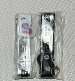 すとふぇす 2025 銀テホルダー