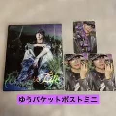 &TEAM Back to Life ウィジュ