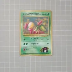 エリカのマダツボミ