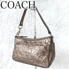 COACH Accessory Pouch One Shoulder Bag