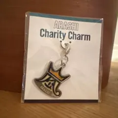 【未開封】嵐　チャリティーチャーム