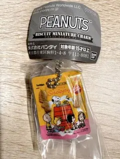 PEANUTS スヌーピー ビスケットミニチュアチャーム