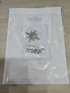 TXT アプグレ特典 アクリルミラーステッカー ピンブローチ