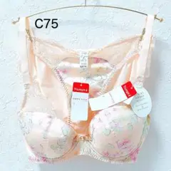 トリンプ ドレス032 ブラ＆ショーツセット C75セット