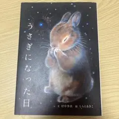 うさぎになった日